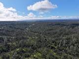  Happy Valley Road - Photo 20