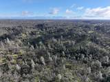  Happy Valley Road - Photo 25