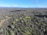  Happy Valley Road - Photo 26