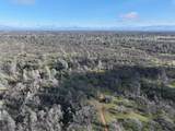  Happy Valley Road - Photo 27