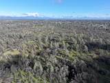  Happy Valley Road - Photo 29