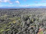  Happy Valley Road - Photo 34