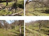 11500 Cool Spring Court - Photo 4