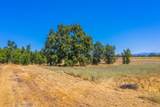  Plaza Drive - Photo 6