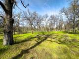 13672 Twin Lakes Lane - Photo 51