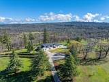 29099 Doveweed Way - Photo 113