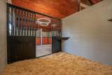 29099 Doveweed Way - Photo 131
