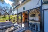 29099 Doveweed Way - Photo 157