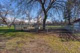 29099 Doveweed Way - Photo 169