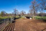29099 Doveweed Way - Photo 171