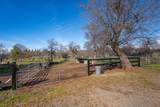 29099 Doveweed Way - Photo 172