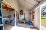 29099 Doveweed Way - Photo 186