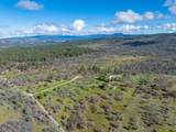 29099 Doveweed Way - Photo 190