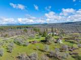 29099 Doveweed Way - Photo 191