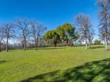 29099 Doveweed Way - Photo 192