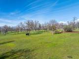 29099 Doveweed Way - Photo 196