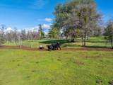 29099 Doveweed Way - Photo 197