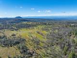 29099 Doveweed Way - Photo 200