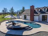 29099 Doveweed Way - Photo 78