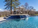 29099 Doveweed Way - Photo 83