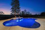 29099 Doveweed Way - Photo 86