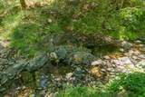 4298 Little Browns Creek Road - Photo 45