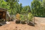 4298 Little Browns Creek Road - Photo 48