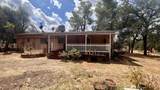6563 Lulu Lane - Photo 29