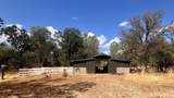 6563 Lulu Lane - Photo 35