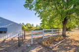 20910 Yogi Bear Lane - Photo 51