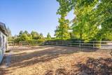 20910 Yogi Bear Lane - Photo 52