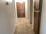 2551 Velia Street - Photo 8