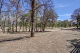 20798 Teachs Trail - Photo 39