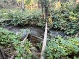  Waterleaf Lane - Photo 1