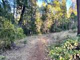  Waterleaf Lane - Photo 10