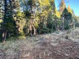  Waterleaf Lane - Photo 12