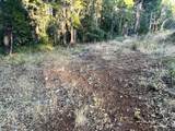  Waterleaf Lane - Photo 13
