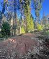  Waterleaf Lane - Photo 18