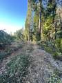  Waterleaf Lane - Photo 19