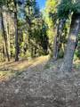  Waterleaf Lane - Photo 20