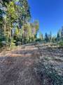  Waterleaf Lane - Photo 23
