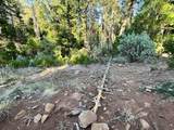  Waterleaf Lane - Photo 24