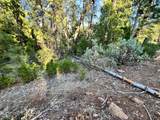  Waterleaf Lane - Photo 25