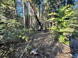  Waterleaf Lane - Photo 26