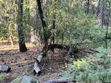  Waterleaf Lane - Photo 28