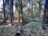  Waterleaf Lane - Photo 29