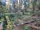  Waterleaf Lane - Photo 32