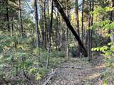  Waterleaf Lane - Photo 33
