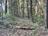  Waterleaf Lane - Photo 35