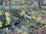  Waterleaf Lane - Photo 36